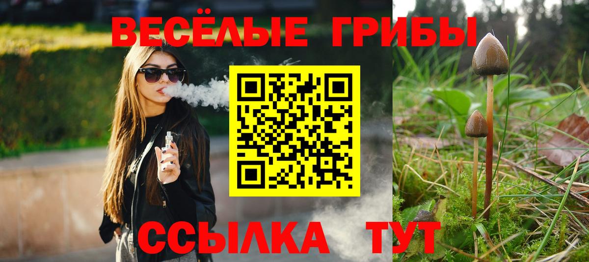 Галлюциногенные грибы GOLDEN TEACHER Ликино-Дулёво